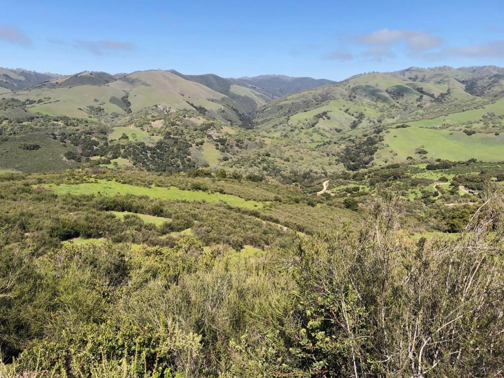 Creek Ranch, Carmel Valley Road Property Photo 49