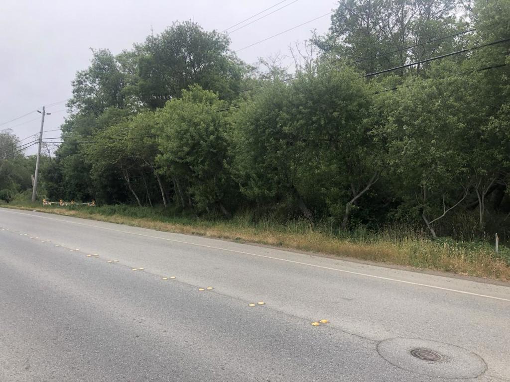 0 Pescadero Road Property Photo 12