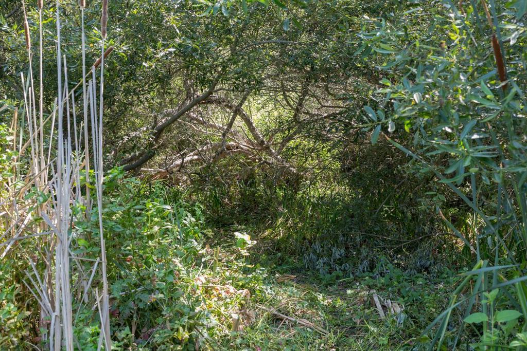 0 Pescadero Road Property Photo 17