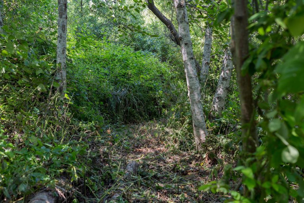 0 Pescadero Road Property Photo 18