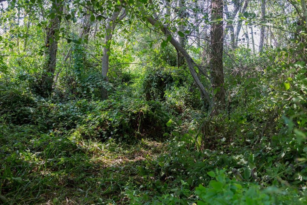0 Pescadero Road Property Photo 19