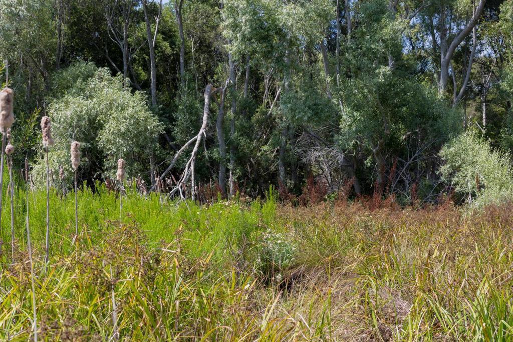 0 Pescadero Road Property Photo 21