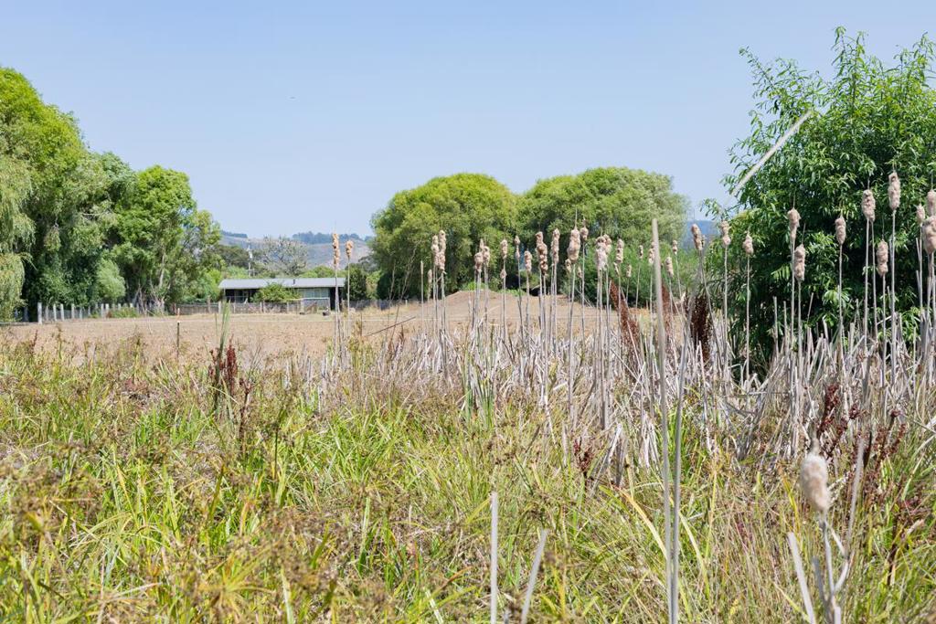 0 Pescadero Road Property Photo 24