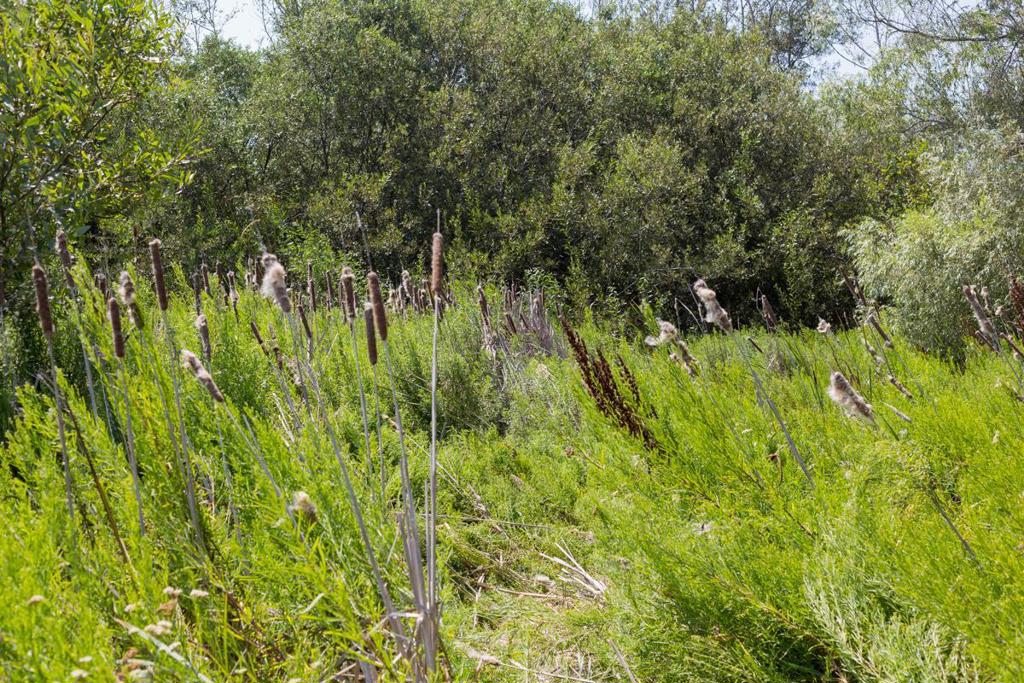 0 Pescadero Road Property Photo 25