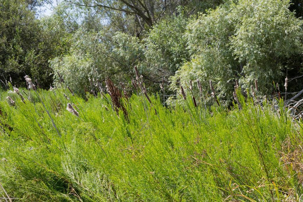 0 Pescadero Road Property Photo 26