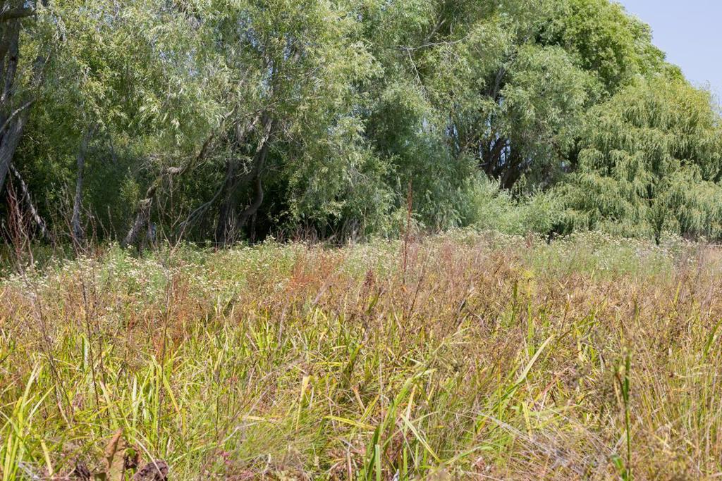 0 Pescadero Road Property Photo 28