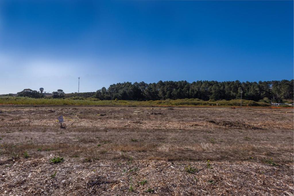 Airport Street Property Photo 8