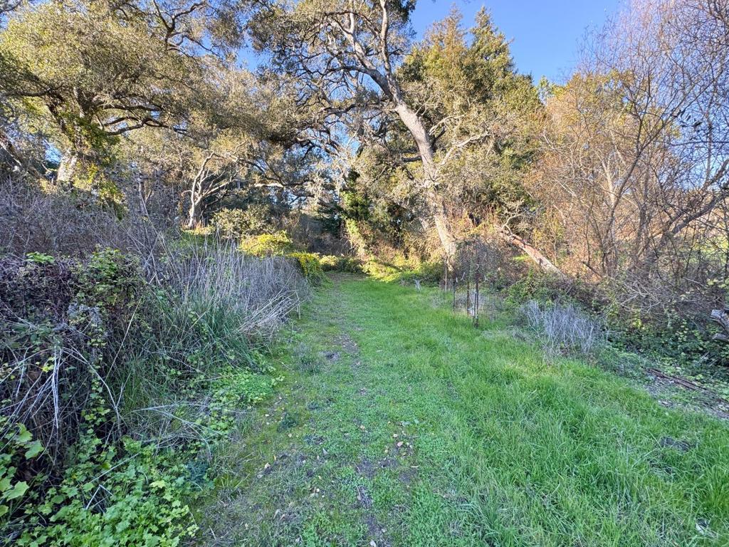 2603 Monterey Avenue Property Photo 13