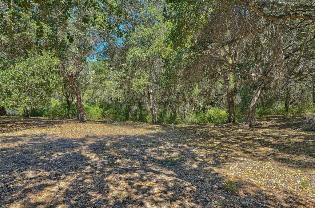 27765 Mesa Del Toro Road Property Photo