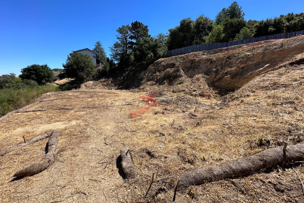 16227 Maya Way Property Photo 27