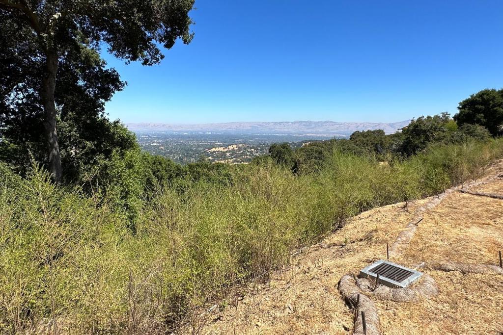 16227 Maya Way Property Photo 28