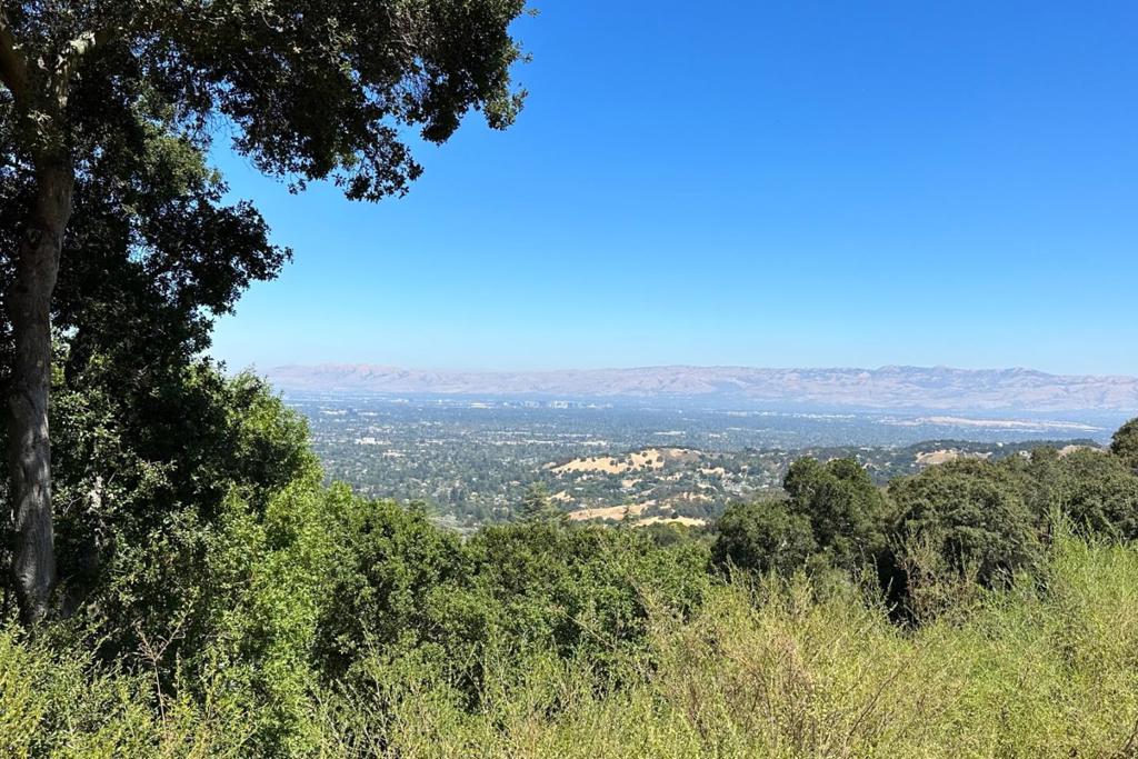 16227 Maya Way Property Photo 29