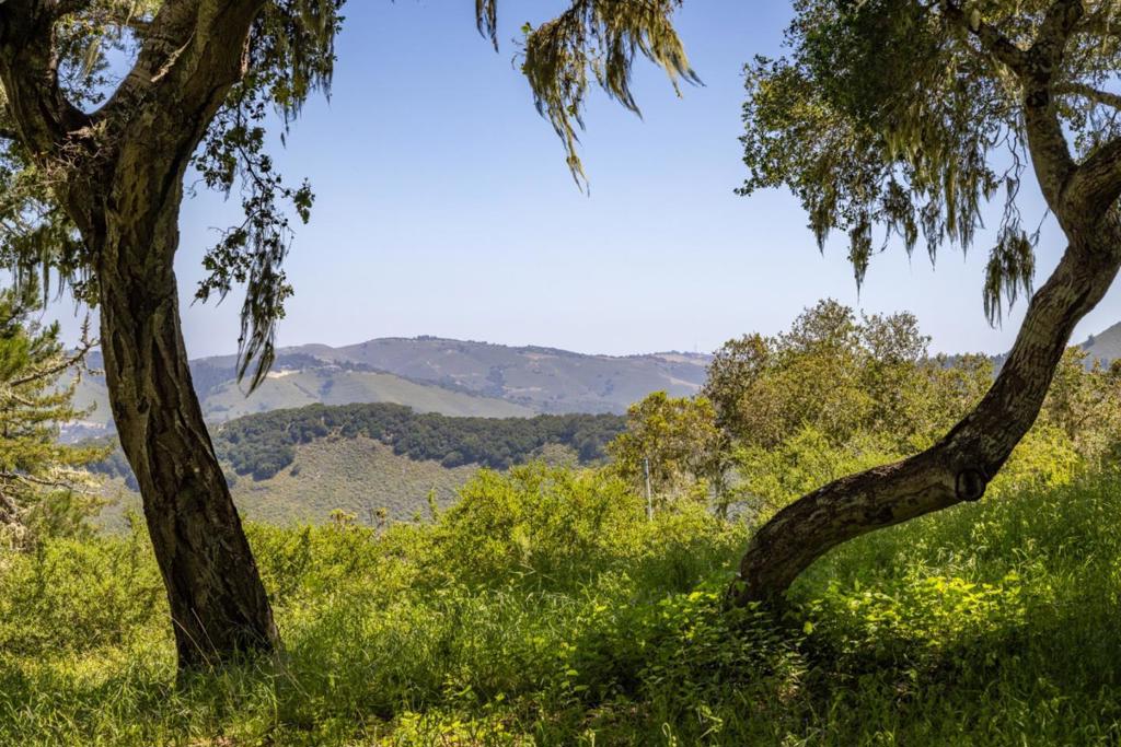 6 Rancho San Carlos Road Property Photo