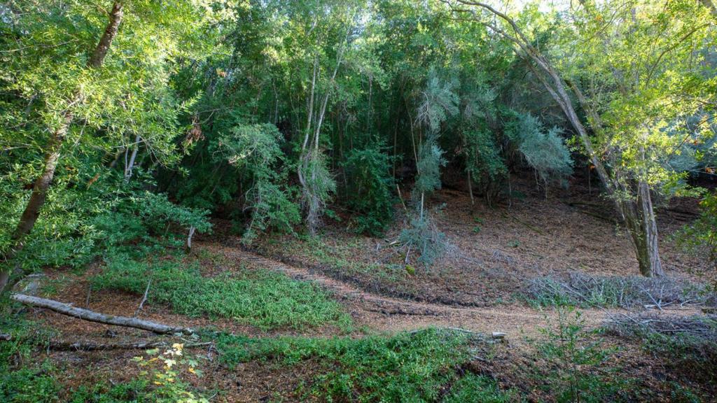 20600 Aldercroft Property Photo 45