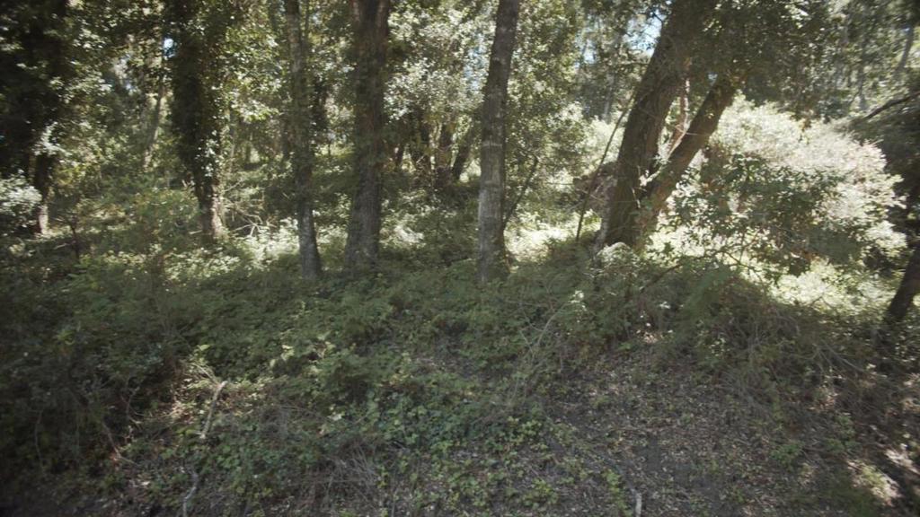 0 Burns Property Photo 5