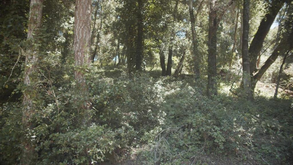 0 Burns Property Photo 6