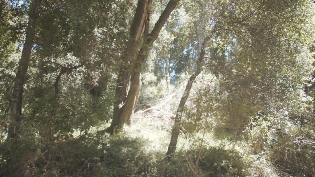 0 Burns Property Photo 7