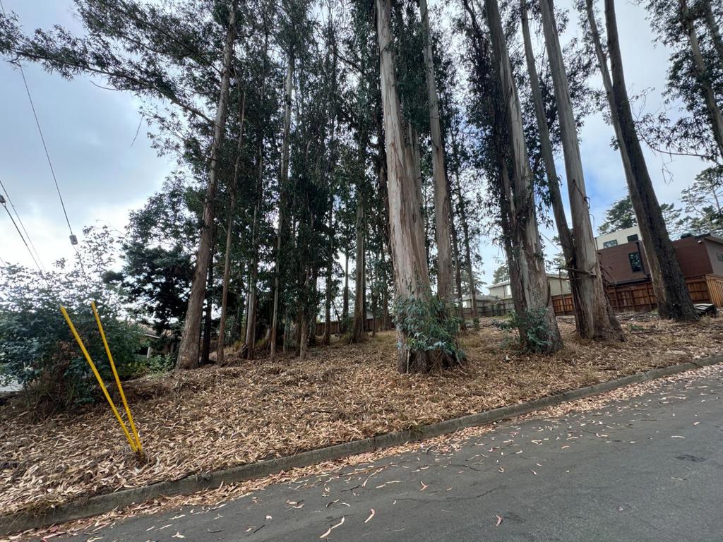 0 The Alameda Property Photo
