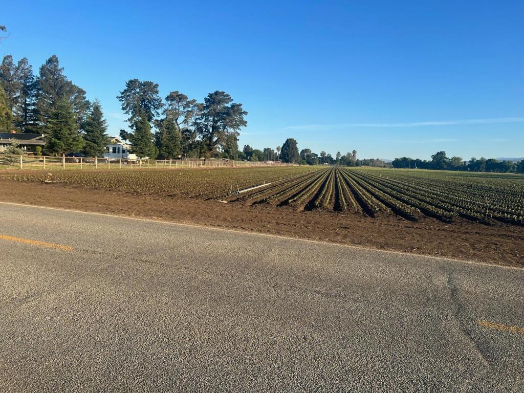 2 Buena Vista Property Photo 2