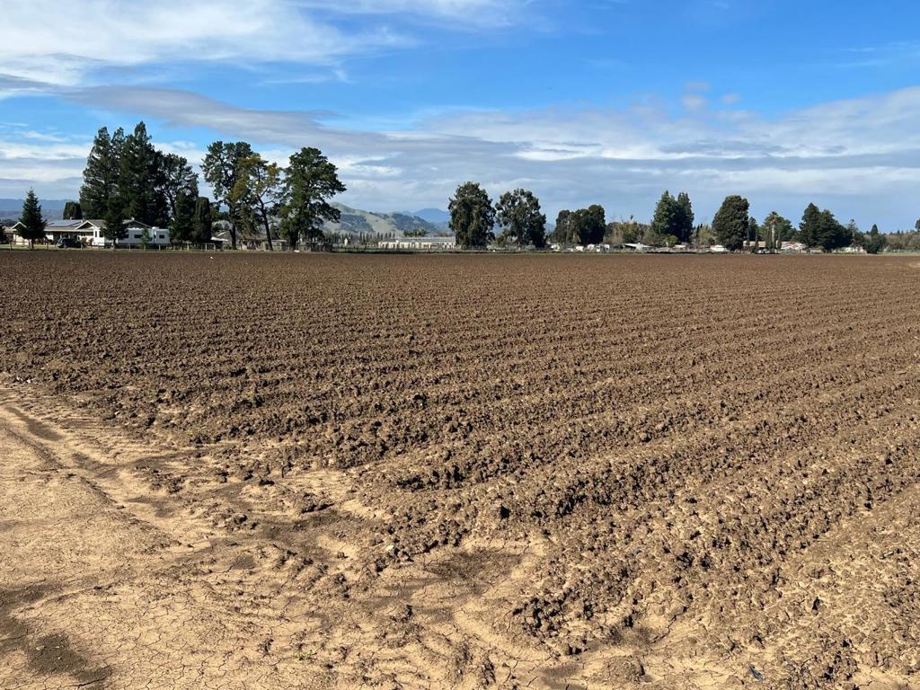 2 Buena Vista Property Photo 5