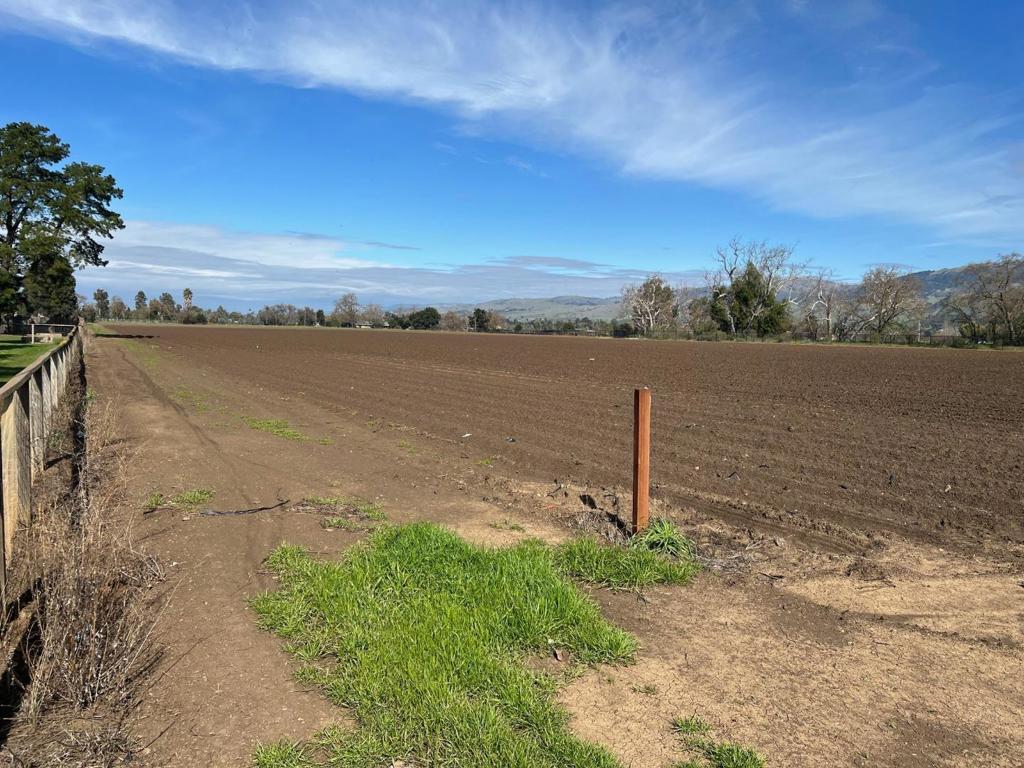 2 Buena Vista Property Photo 6