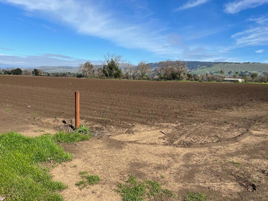 2 Buena Vista Property Photo 10