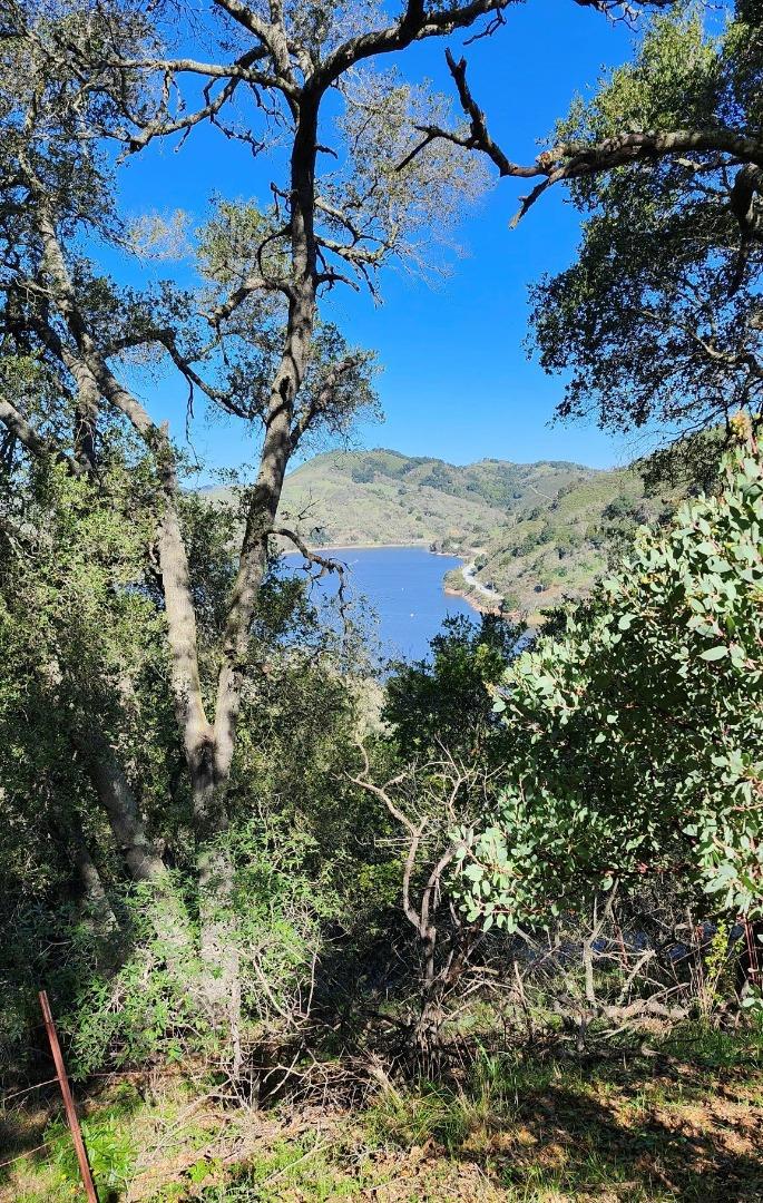 0 Chesbro Lake Drive Property Photo 1
