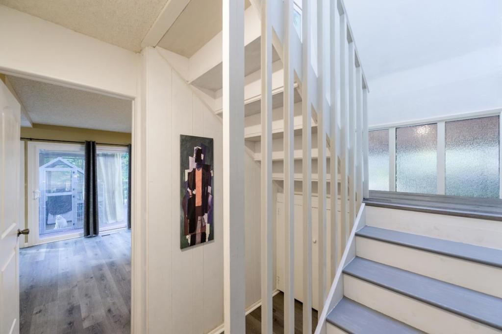 110 Shadow Property Photo 62