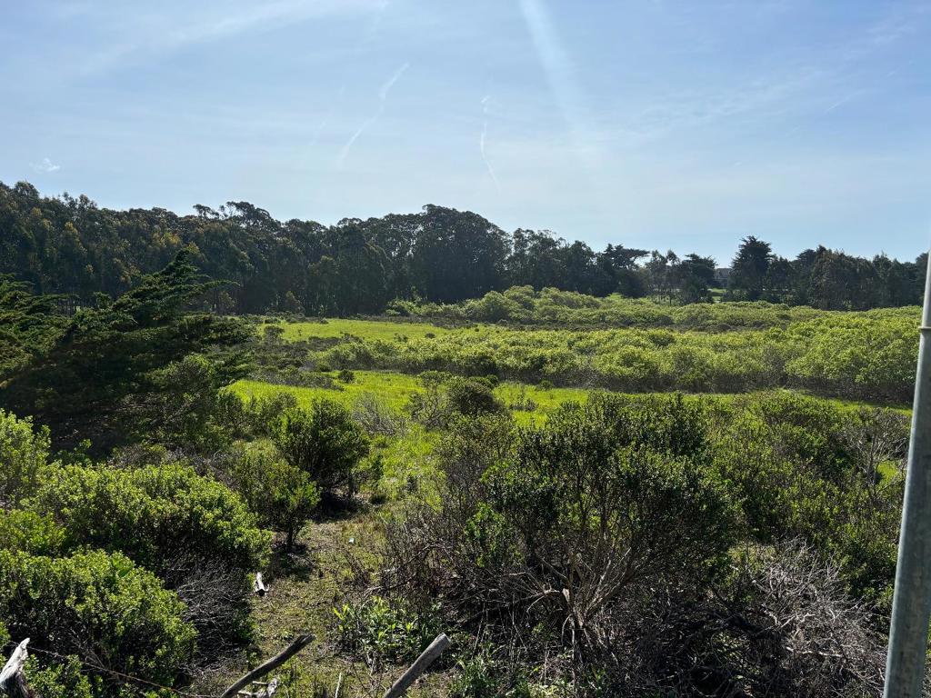 0 Portola Avenue Property Photo 6