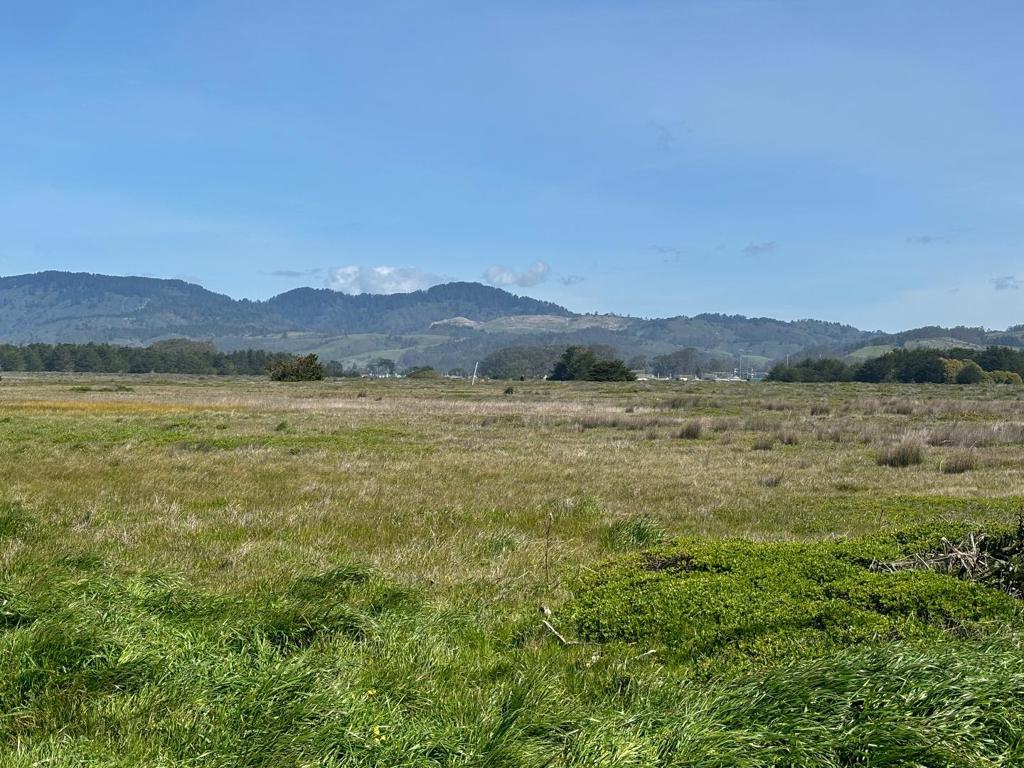 0 Portola Avenue Property Photo 10