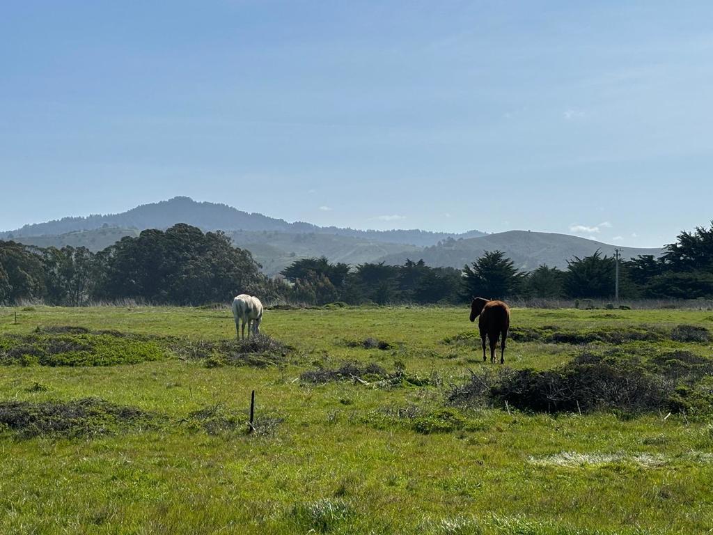 0 Portola Avenue Property Photo 13