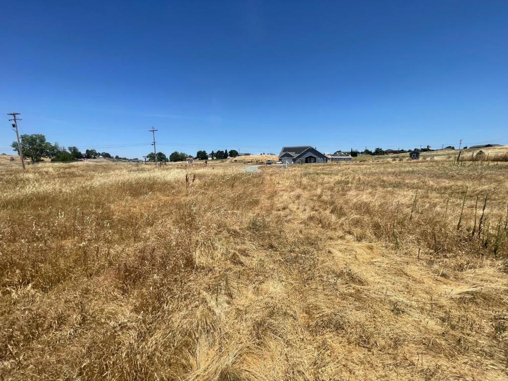 2280 Grapevine Gulch Road Property Photo 4