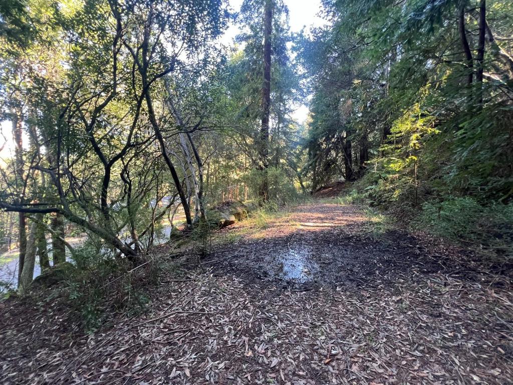 559 Patrol Road Property Photo