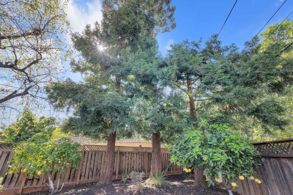 1317 Rossway Court Property Photo 38