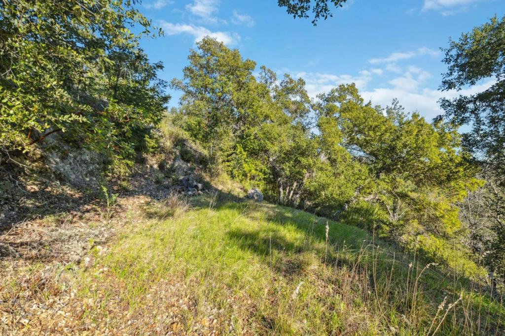 28 Hartman Creek Property Photo 8