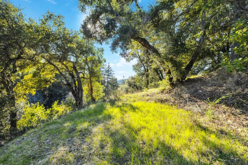 28 Hartman Creek Property Photo 9