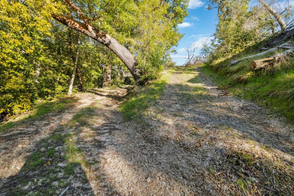 28 Hartman Creek Property Photo 15