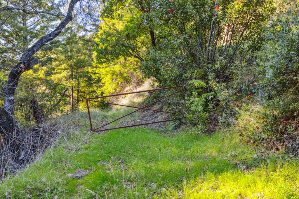 28 Hartman Creek Property Photo 17