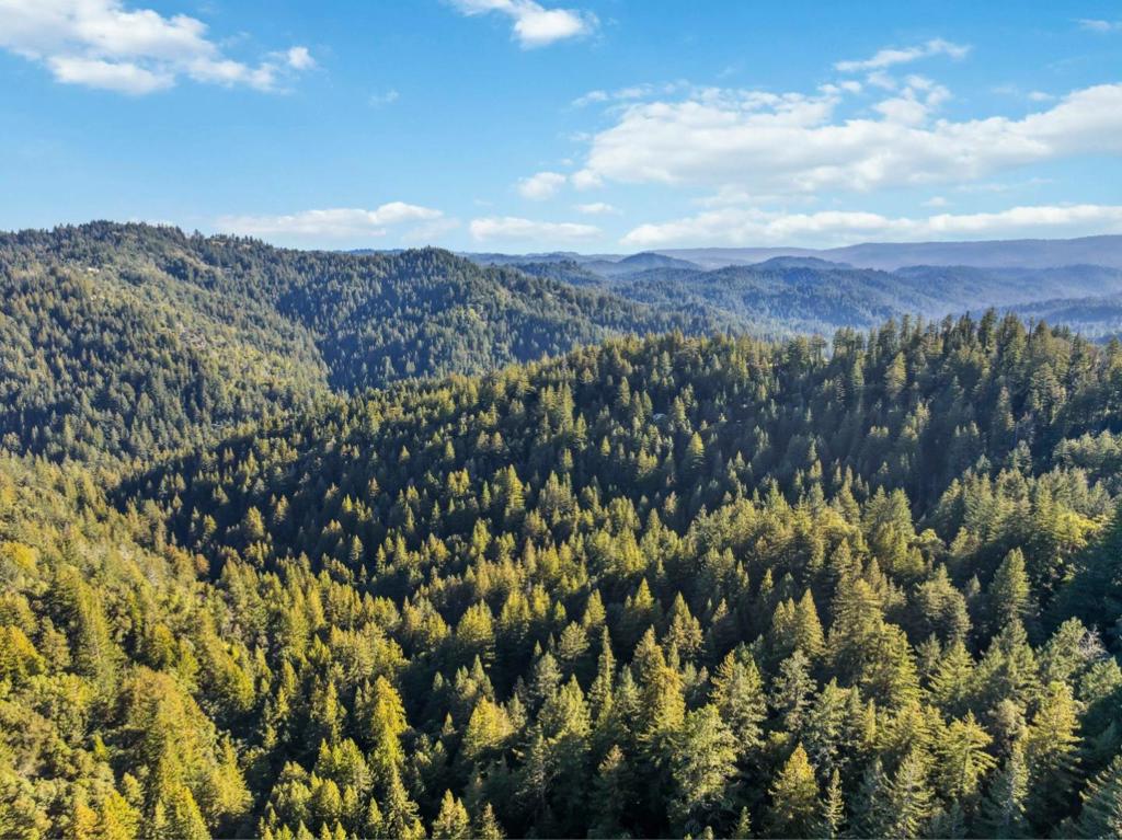 28 Hartman Creek Property Photo 18