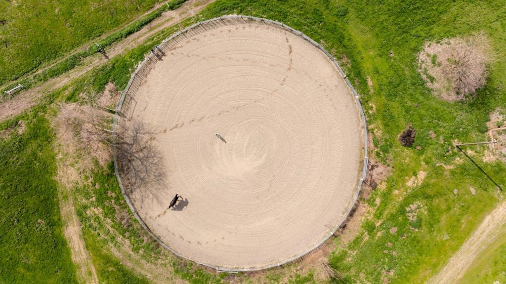 6033 Dagnino Road Property Photo 46