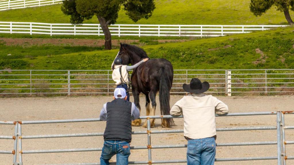 6033 Dagnino Road Property Photo 48
