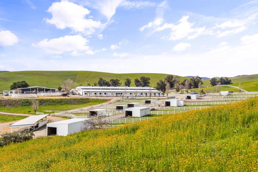 6033 Dagnino Road Property Photo 75
