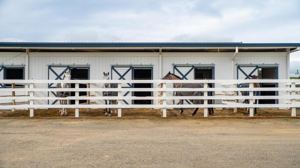6033 Dagnino Road Property Photo 88
