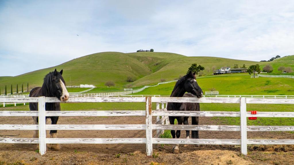 6033 Dagnino Road Property Photo 90