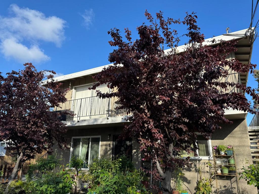 154 Poplar Avenue Property Photo 3
