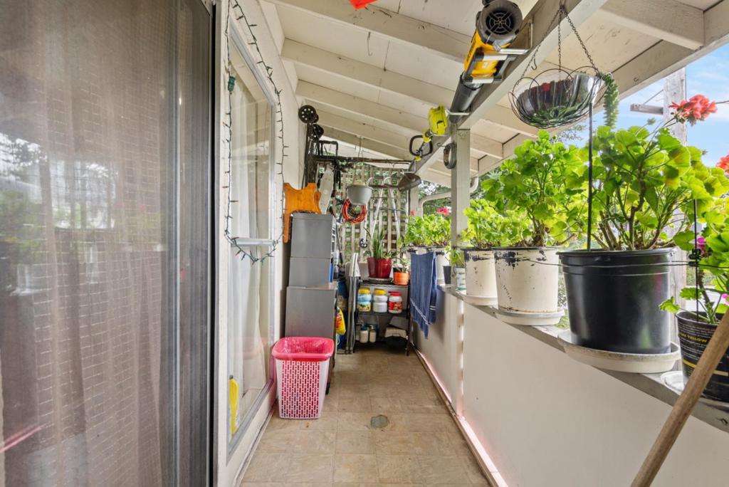 2945 Capitola Road Property Photo 24