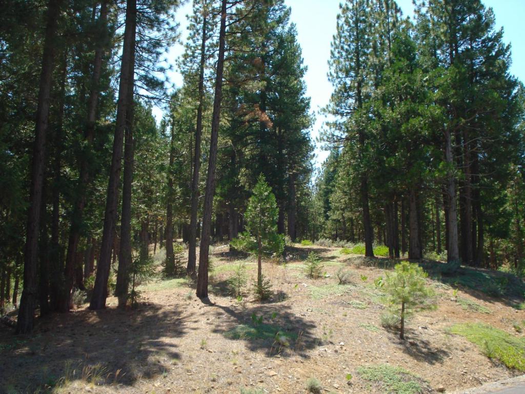 Plumas County Real Estate Listings Main Image