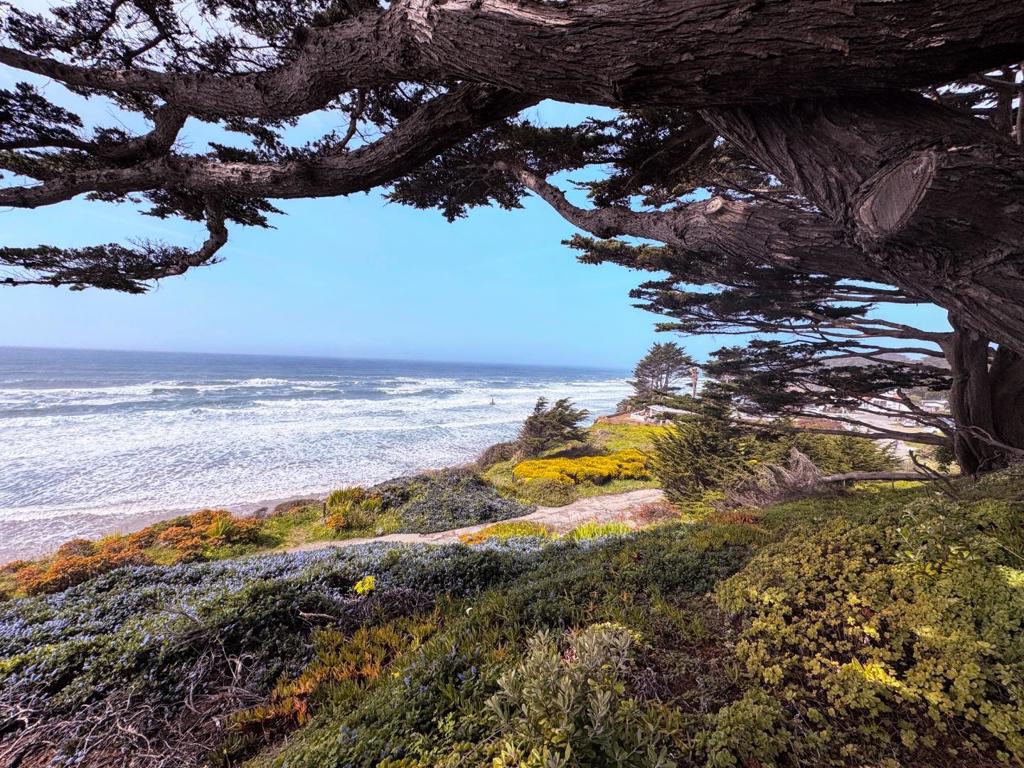 0 Ocean Property Photo