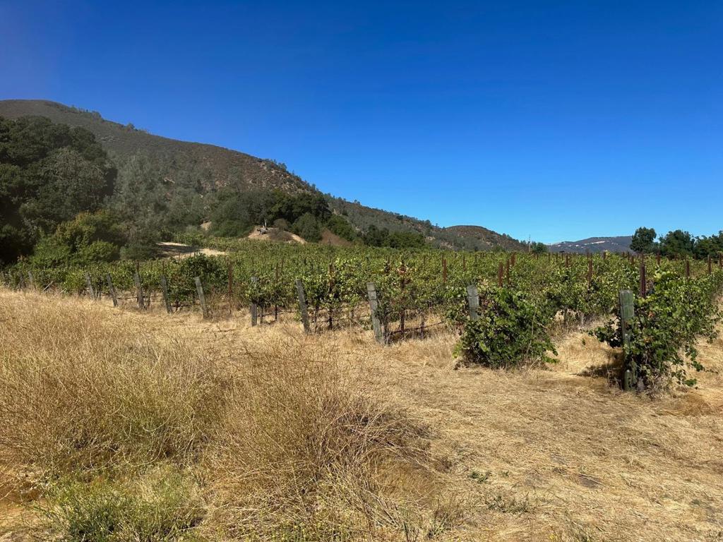 13160 Cienega Road Property Photo 6