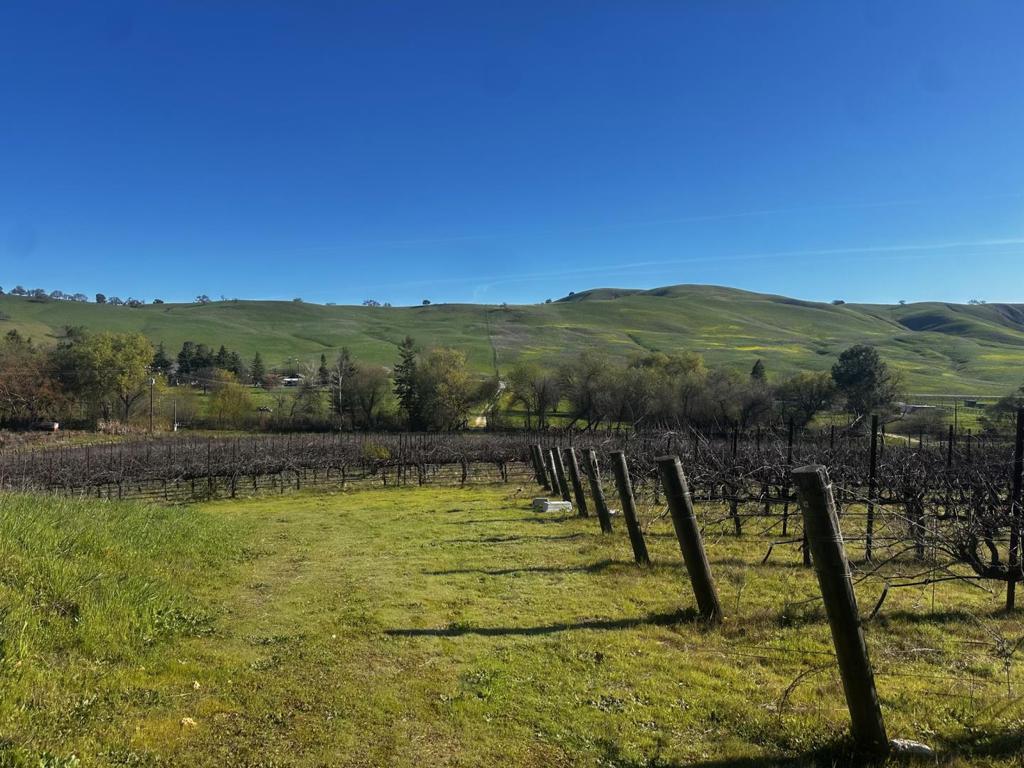 13160 Cienega Road Property Photo 19